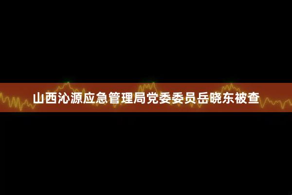 山西沁源应急管理局党委委员岳晓东被查