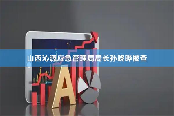 山西沁源应急管理局局长孙晓晔被查