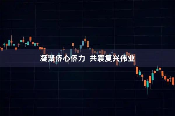 凝聚侨心侨力  共襄复兴伟业